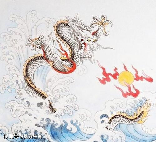 三、 生肖运势对备考策略制定的启示