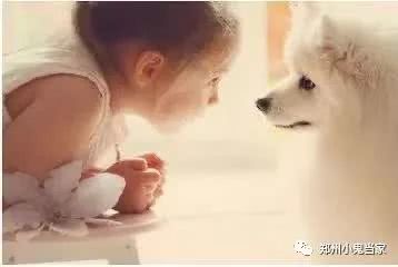 孕妇梦到猫狗貂狗，这是不是预示着宝宝将来会喜欢小动物呢？