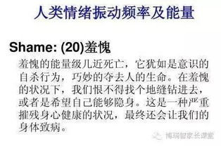 实践层面的应用与功课解析