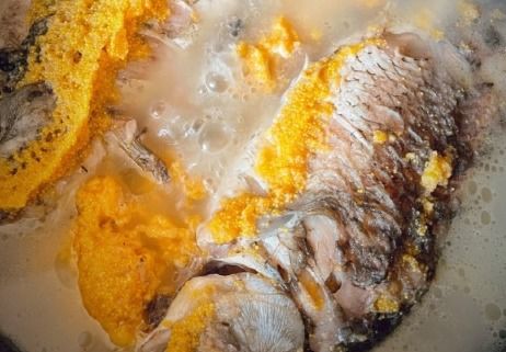 免疫之基：蛋白质作为生命能量的物质载体