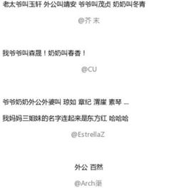 风水学原理在忧伤氛围营造中的应用