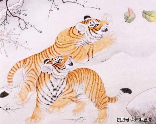 如何与婚后生肖虎相处，掌握哪些相处技巧？