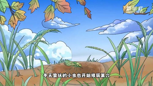 1) 属鼠 / 马 / 兔 / 鸡 / 羊（须慎沉重关注）