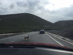 沿途风景：一场视觉盛宴（？）