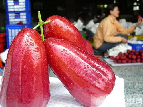 二、  多样化的食用方式及其对营养价值的影响