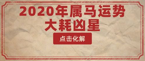 三、 马年人与属狗者结婚的影响