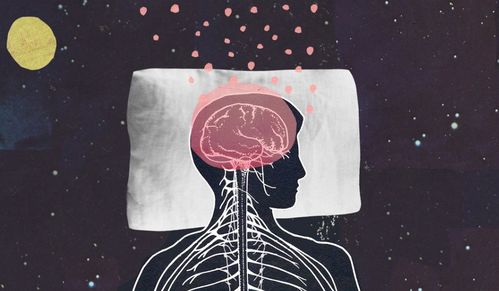 身宫落入夫妻宫：对感情的追逐性与明确目的