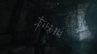 ：星宿符号与午夜幽暗之间的文化交织