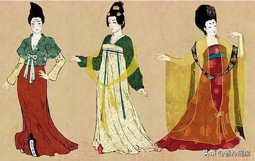 二、 款式更多样性的历史持续发展演进