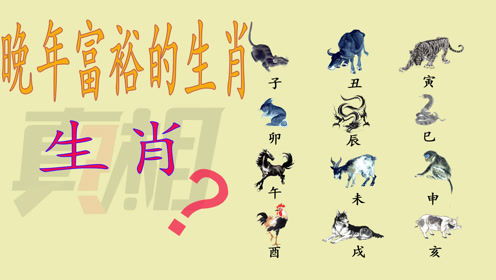 生肖流年的转折点