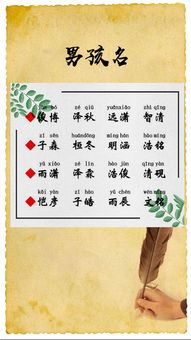 取自四字成语的男孩名字