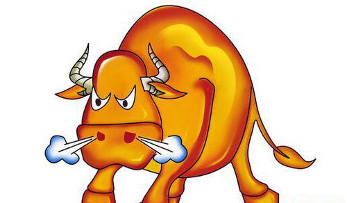 1997年出生的人今年多少岁了？属什么生肖？