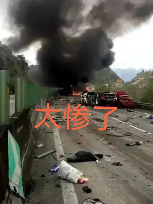 中山一家6口被烧死，处理结果是什么？