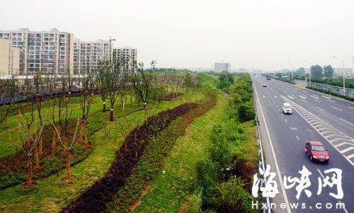 概论：门前树植距离约束的更多维探讨