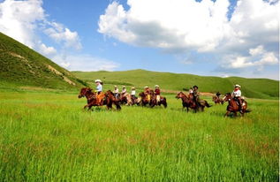 7. 特色民宿——亮点与雷区并存