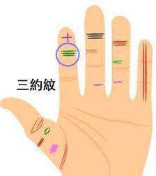 星座与掌纹之关联性概述