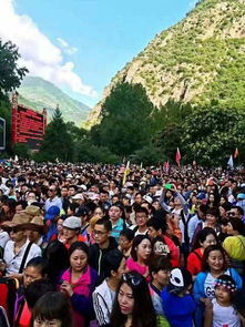 人山人海才是真·景点