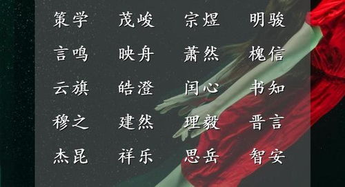 男孩名字的多样化选择