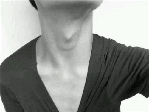 三、 喉结形态差异所暗示的风水特征