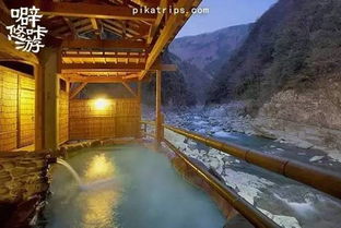 祖谷溪：惊险刺激的藤蔓桥