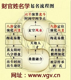 十巨大取名要点，  马宝宝命名有讲究