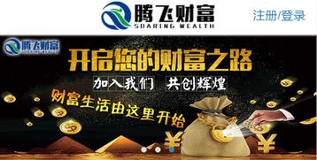 副业发展与收入结构优化
