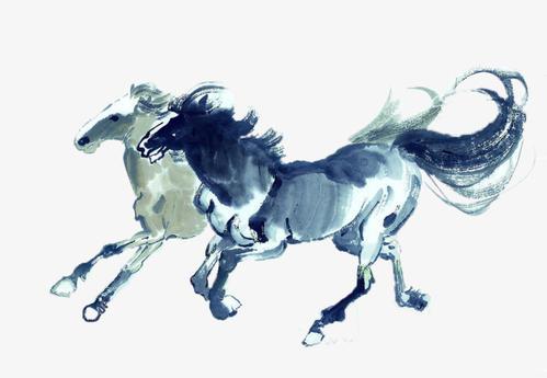 属马女性今年在婚姻方面会有怎样的运势走势？