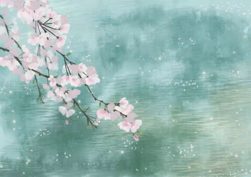 属兔者：耐心细致与机遇迎接的磨练过程