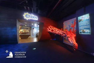 我的老天鹅！正佳海洋世界居然暗藏玄机？！