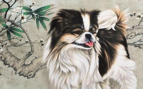 性格差异