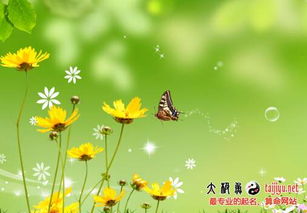 2017年属鸡女宝宝春天出生，有哪些好听的名字推荐？