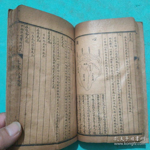 三、 个别宿位之古今差异解析