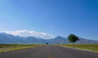 上山爬山游：一场说走就走的灾难