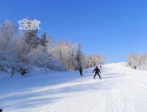 炎热雪奇迹：室内滑雪也能找到雷区？