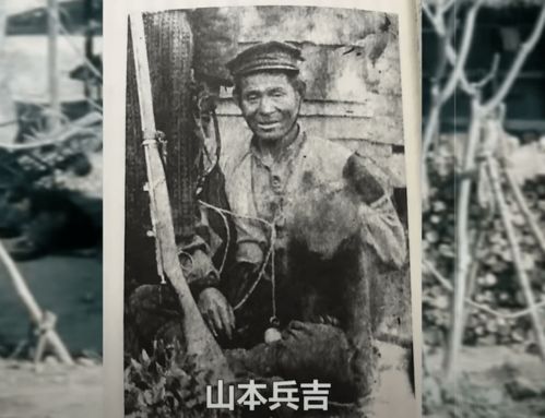 个人品质与领导风范