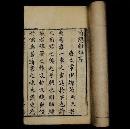 四、 生肖星座及风水布局中的文化映射（兼论）