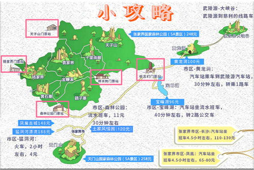第二个坑：攻略说“扎营自主”，后来啊被“禁令”堵在门外？试试保障区内的“生态木屋”