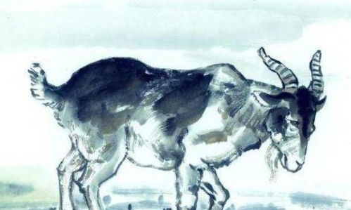 宋韶光2026年属羊运势及运程具体如何？