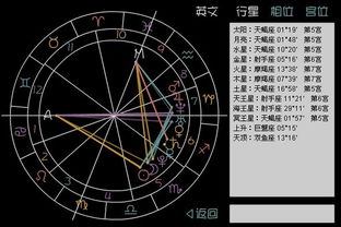 三、 太阳与月亮：人格结构的双沉重映射