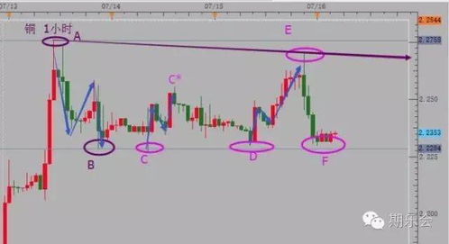 情绪波动型反应