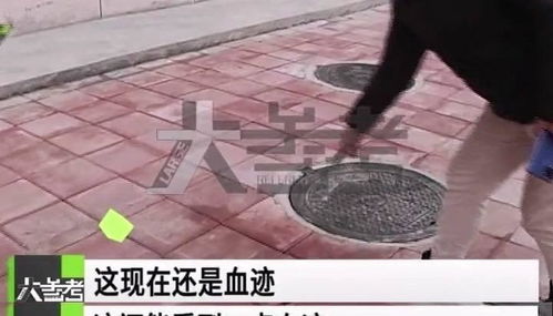 梦见别人失足坠楼一地血是什么征兆？预示着什么不好的事情？