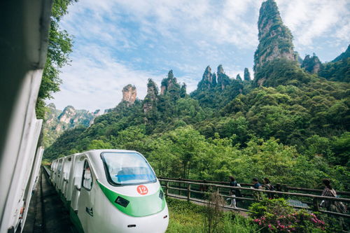 回程梗精彩：导航失灵！