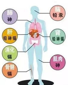 .曲中玉山东省立医院副主任医师.