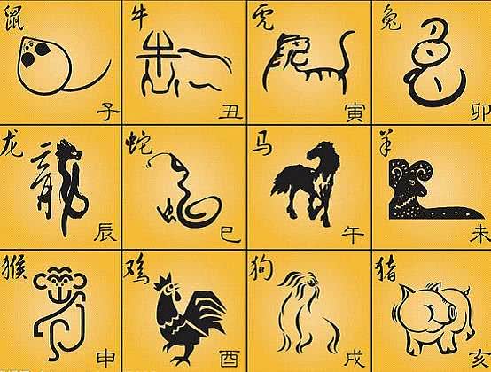哪些生肖财运平平呢？深入分析八字与财运的关系