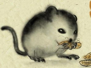 属鼠人本命年八月份二十号搬家合适吗？本命年搬家吉凶如何？