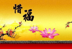 从现实案例看“嫁得良好”并非豪门专属