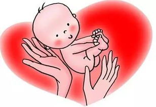 风水法则：和谐与平衡的文艺