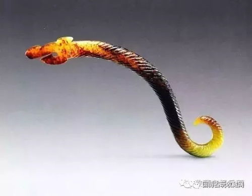 公众科普项目与科研成果转化