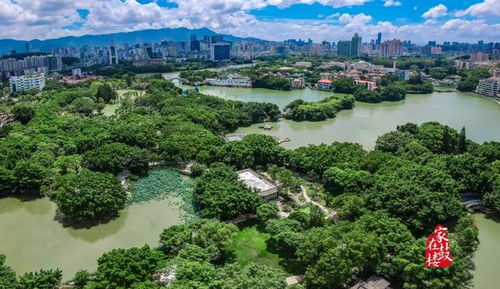 对抗观点：“进左海公园不花钱？我上周一分钱没花，玩了一整天！”