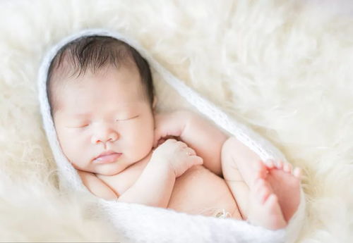 太阳出来啦——卯时!